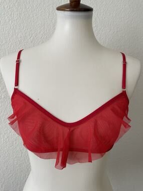 Only Hearts Bralette Bra Whisper Ruffle Sheer Romantic Coquette Balletcore